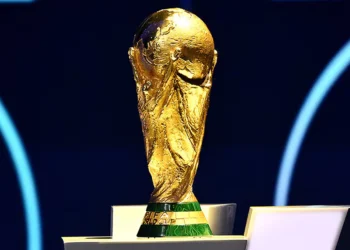 جنون كأس العالم يشعل أسواق التوقعات