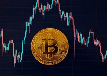 بتكوين تسجّل أكبر أرباحها في ستة أسابيع